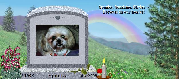 Spunky's Rainbow Bridge Pet Loss Memorial Residency Image