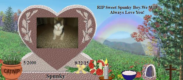 Spunky's Rainbow Bridge Pet Loss Memorial Residency Image