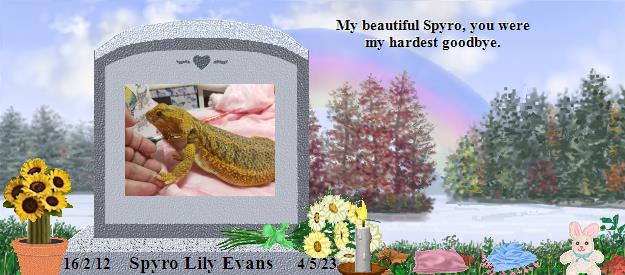 Spyro Lily Evans's Rainbow Bridge Pet Loss Memorial Residency Image