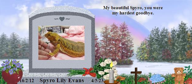 Spyro Lily Evans's Rainbow Bridge Pet Loss Memorial Residency Image