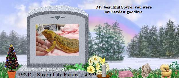 Spyro Lily Evans's Rainbow Bridge Pet Loss Memorial Residency Image