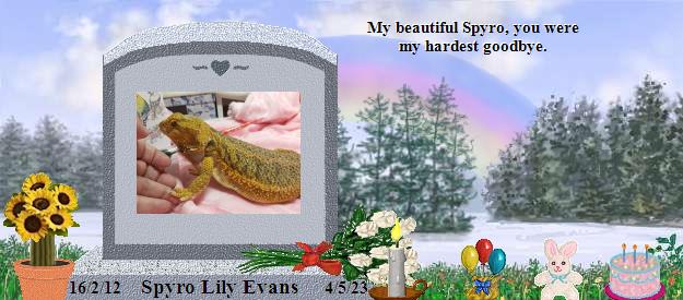 Spyro Lily Evans's Rainbow Bridge Pet Loss Memorial Residency Image