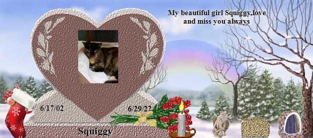 Squiggy's Rainbow Bridge Pet Loss Memorial Residency Image