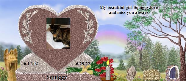 Squiggy's Rainbow Bridge Pet Loss Memorial Residency Image