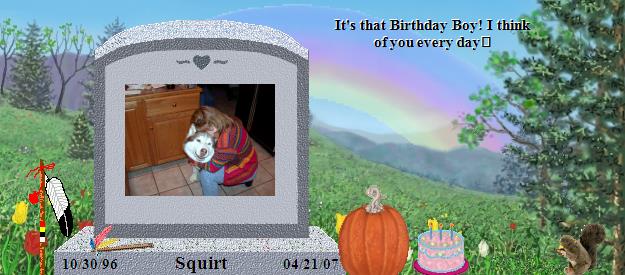 Squirt's Rainbow Bridge Pet Loss Memorial Residency Image