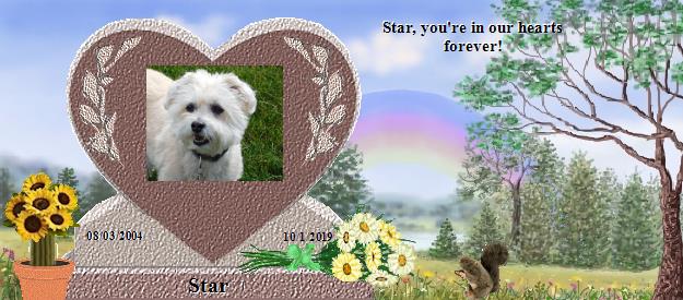 Star's Rainbow Bridge Pet Loss Memorial Residency Image