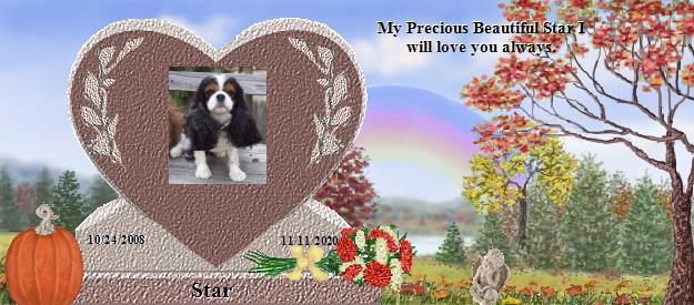 Star's Rainbow Bridge Pet Loss Memorial Residency Image