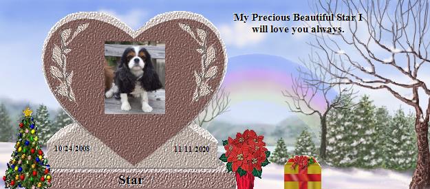 Star's Rainbow Bridge Pet Loss Memorial Residency Image