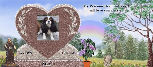 Star's Rainbow Bridge Pet Loss Memorial Residency Image