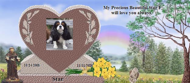 Star's Rainbow Bridge Pet Loss Memorial Residency Image