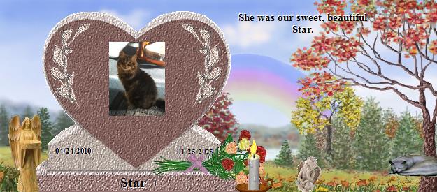 Star's Rainbow Bridge Pet Loss Memorial Residency Image