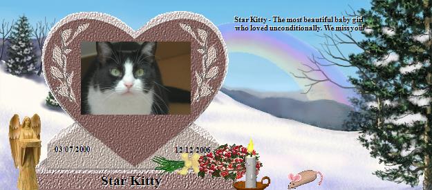 Star Kitty's Rainbow Bridge Pet Loss Memorial Residency Image