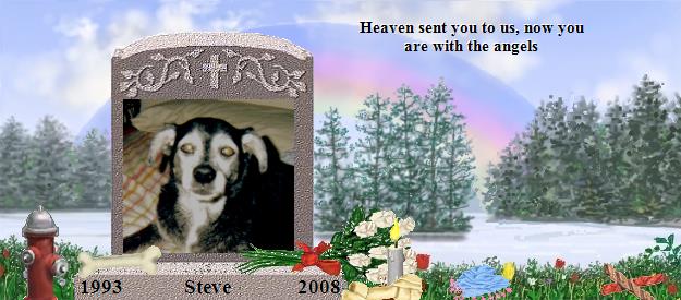 Steve's Rainbow Bridge Pet Loss Memorial Residency Image