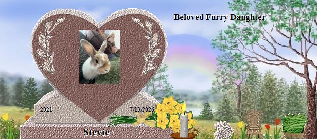 Stevie's Rainbow Bridge Pet Loss Memorial Residency Image