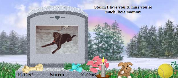 Storm's Rainbow Bridge Pet Loss Memorial Residency Image