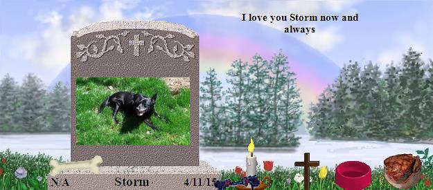 Storm's Rainbow Bridge Pet Loss Memorial Residency Image