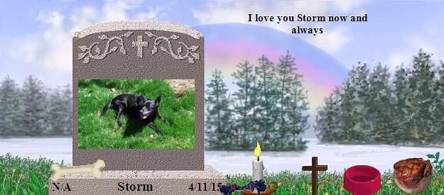 Storm's Rainbow Bridge Pet Loss Memorial Residency Image