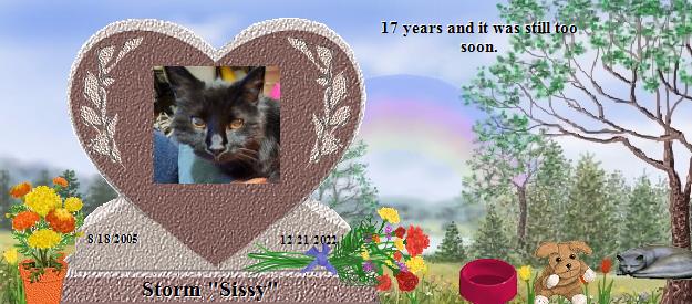 Storm "Sissy"'s Rainbow Bridge Pet Loss Memorial Residency Image