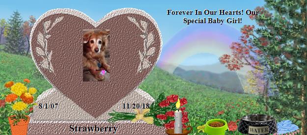 Strawberry's Rainbow Bridge Pet Loss Memorial Residency Image