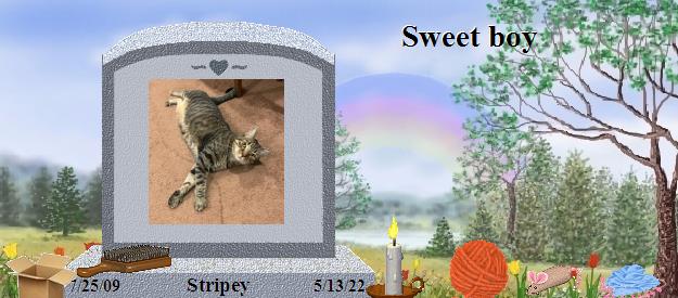 Stripey's Rainbow Bridge Pet Loss Memorial Residency Image