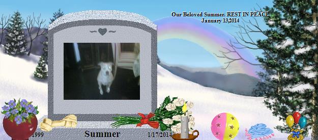 Summer's Rainbow Bridge Pet Loss Memorial Residency Image