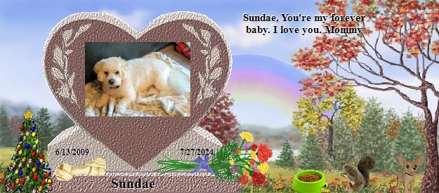 Sundae's Rainbow Bridge Pet Loss Memorial Residency Image