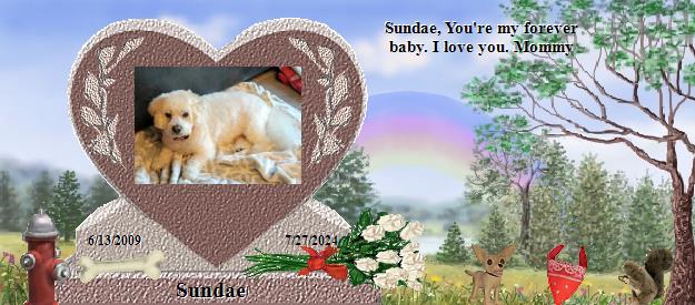 Sundae's Rainbow Bridge Pet Loss Memorial Residency Image