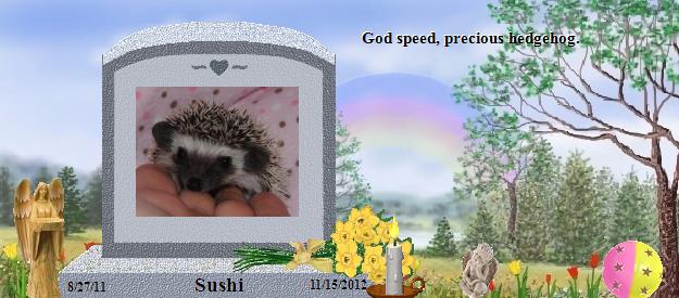 Sushi's Rainbow Bridge Pet Loss Memorial Residency Image
