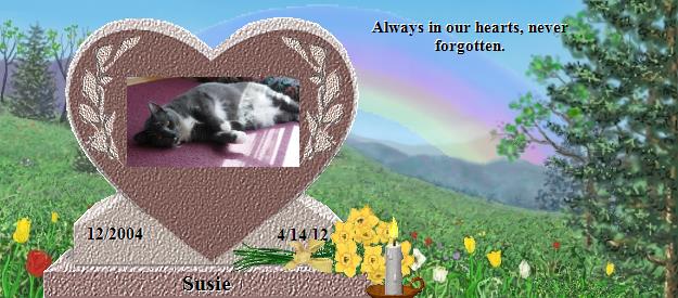 Susie's Rainbow Bridge Pet Loss Memorial Residency Image