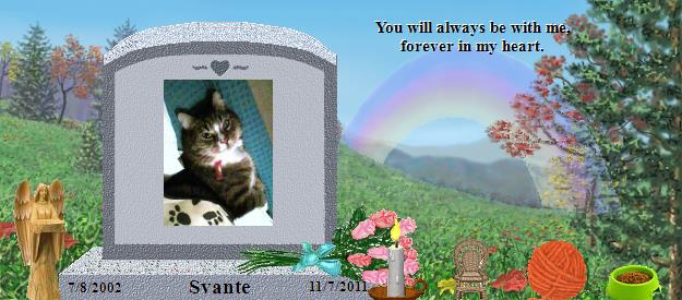 Svante's Rainbow Bridge Pet Loss Memorial Residency Image