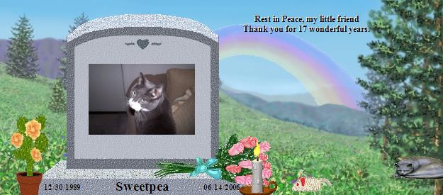 Sweetpea's Rainbow Bridge Pet Loss Memorial Residency Image