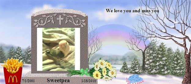 Sweetpea's Rainbow Bridge Pet Loss Memorial Residency Image