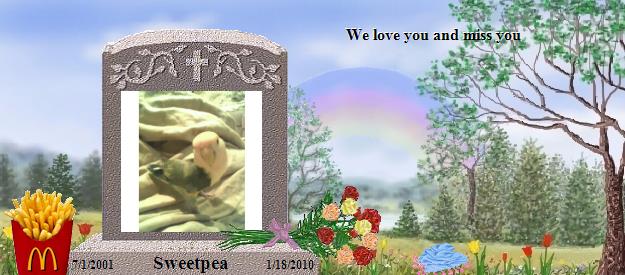 Sweetpea's Rainbow Bridge Pet Loss Memorial Residency Image