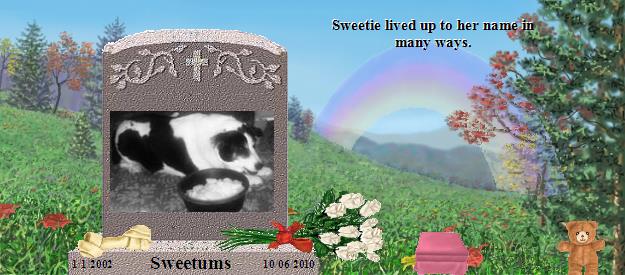 Sweetums's Rainbow Bridge Pet Loss Memorial Residency Image