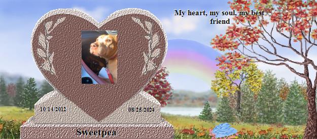 Sweetpea's Rainbow Bridge Pet Loss Memorial Residency Image