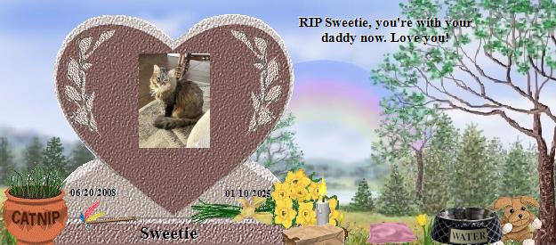 Sweetie's Rainbow Bridge Pet Loss Memorial Residency Image