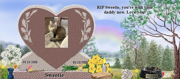 Sweetie's Rainbow Bridge Pet Loss Memorial Residency Image