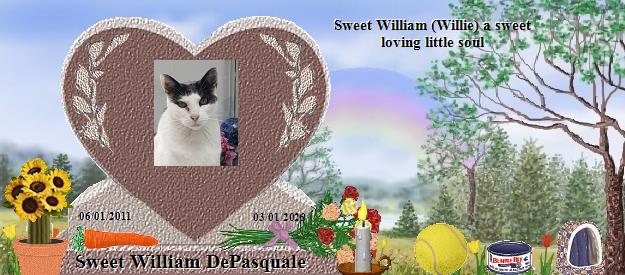 Sweet William DePasquale's Rainbow Bridge Pet Loss Memorial Residency Image