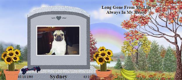 Sydney's Rainbow Bridge Pet Loss Memorial Residency Image