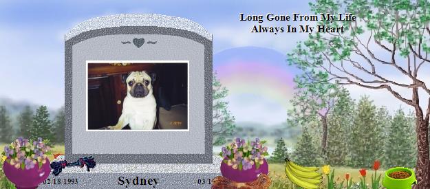Sydney's Rainbow Bridge Pet Loss Memorial Residency Image