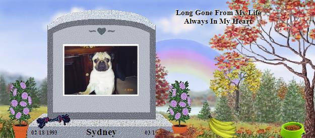 Sydney's Rainbow Bridge Pet Loss Memorial Residency Image