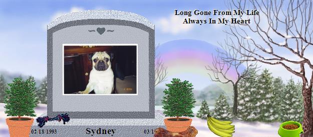 Sydney's Rainbow Bridge Pet Loss Memorial Residency Image