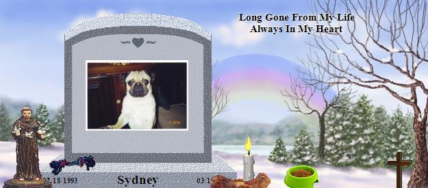 Sydney's Rainbow Bridge Pet Loss Memorial Residency Image