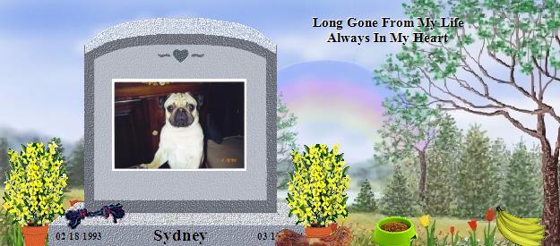 Sydney's Rainbow Bridge Pet Loss Memorial Residency Image