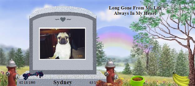 Sydney's Rainbow Bridge Pet Loss Memorial Residency Image