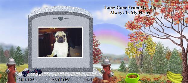 Sydney's Rainbow Bridge Pet Loss Memorial Residency Image