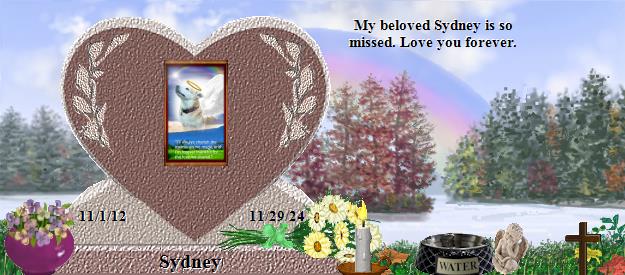 Sydney's Rainbow Bridge Pet Loss Memorial Residency Image