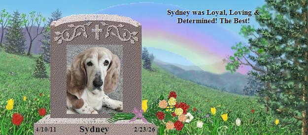 Sydney's Rainbow Bridge Pet Loss Memorial Residency Image