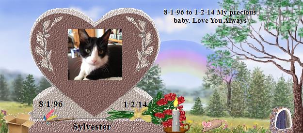 Sylvester's Rainbow Bridge Pet Loss Memorial Residency Image