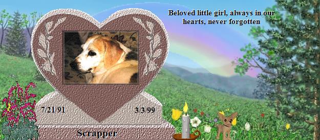 Scrapper's Rainbow Bridge Pet Loss Memorial Residency Image